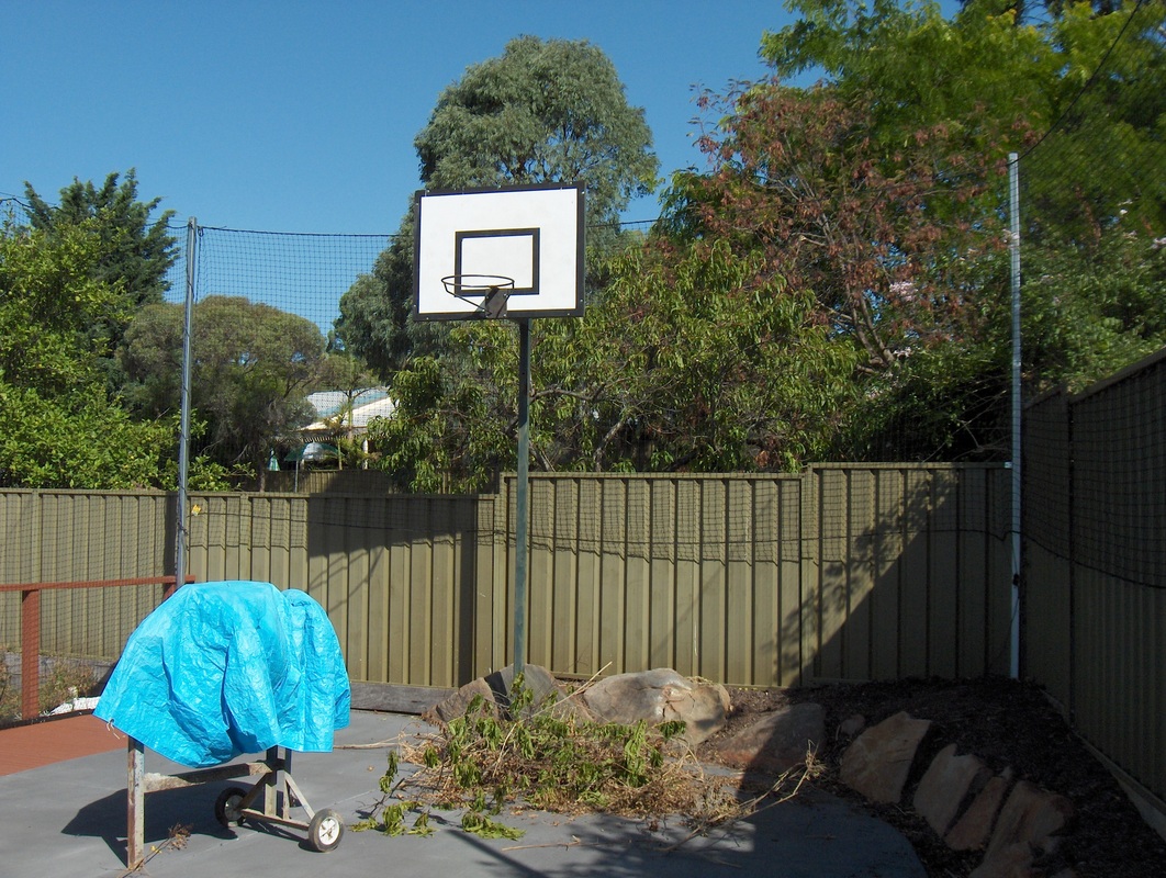 Sports in Your Garden  Advanced Nets amp; Ropes  Netting Australia Wide